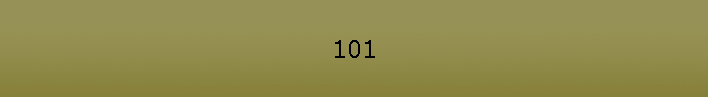 101