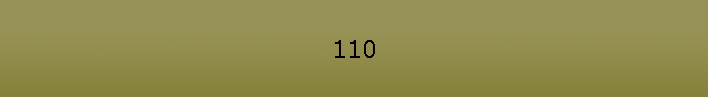 110