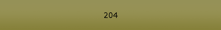 204