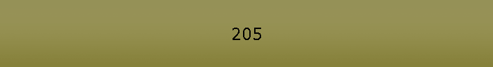 205