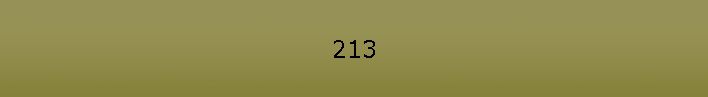 213