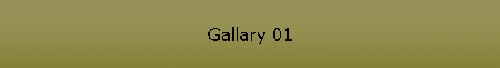 Gallary 01