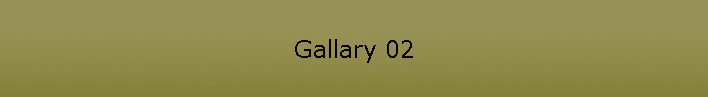 Gallary 02