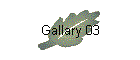 Gallary 03