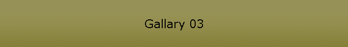 Gallary 03