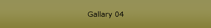 Gallary 04