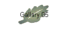 Gallary 05