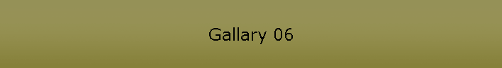 Gallary 06